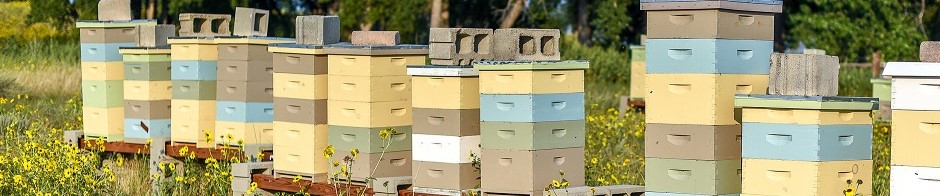 North Dakota Beekeepers Association